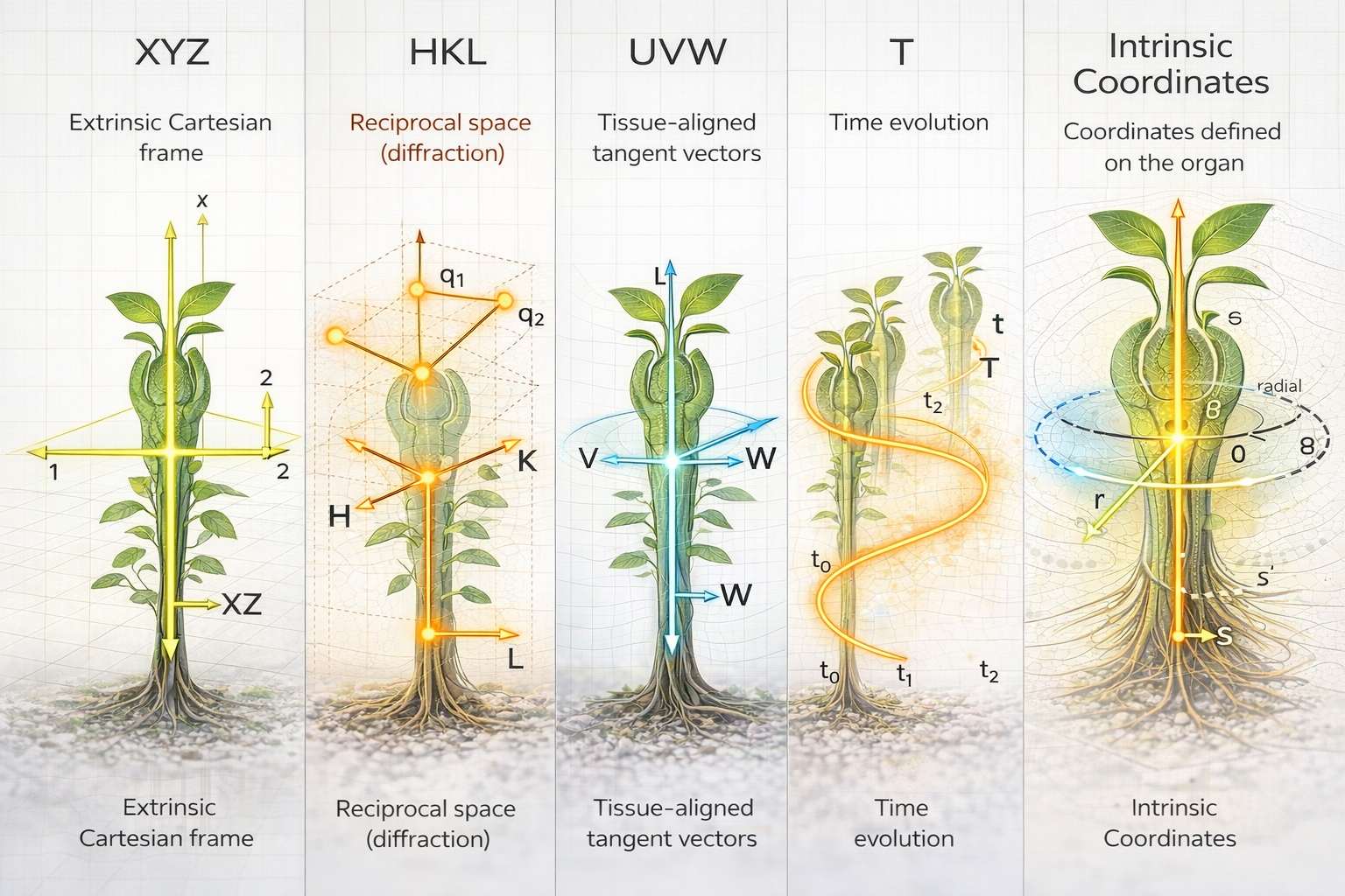 Single specimen shown across multiple coordinate frames: XYZ, HKL, UVW, Time, Intrinsic