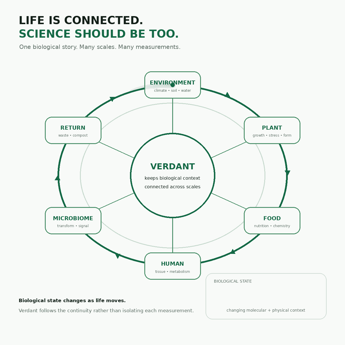 A living biological system connected across multiple forms of measurement